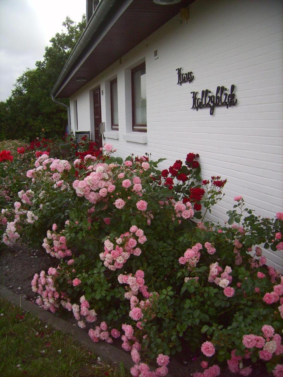 Haus-Halligblick-Ferienwohnung-Hamburger-Hallig Dagebuell Exterior photo